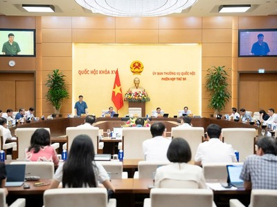 Uỷ ban Thường vụ Quốc hội cho ý kiến dự án Luật Quy hoạch (sửa đổi). 