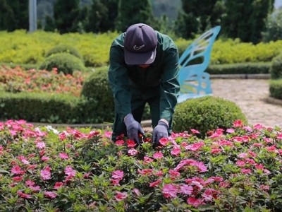 Mùa mưa bão và lời cảnh tỉnh cho an toàn du lịch Việt Nam 
