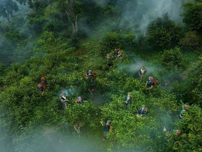 Cả nước hiện có hơn 600 mô hình du lịch nông nghiệp, nông thôn đang hoạt động, tăng gần 1,6 lần so với năm 2021.