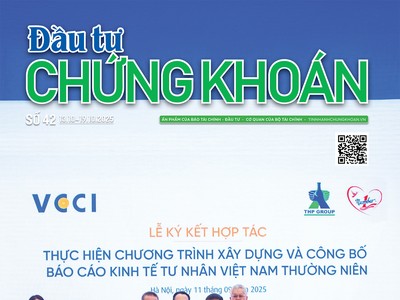 Báo Đầu tư Chứng khoán số 42