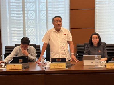 Đại biểu Hà Sỹ Đồng phát biểu tại tổ. 