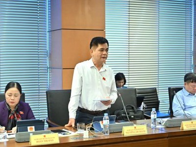 Đại biểu Nguyễn Lâm Thành (Thái Nguyên). 