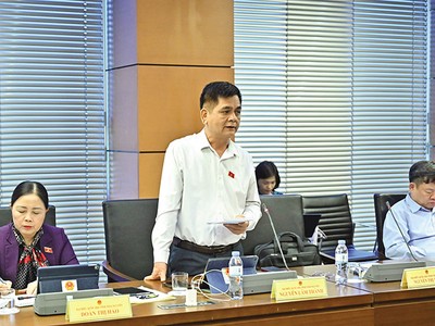 Đại biểu Nguyễn Lâm Thành (Thái Nguyên) phát biểu tại tổ. Ảnh: Hà Tâm 