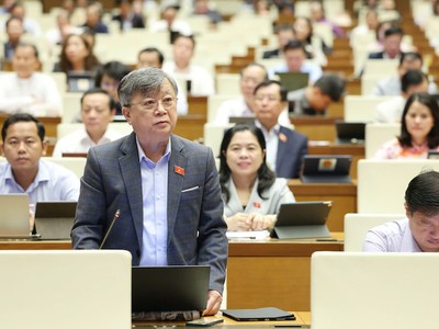 Đại biểu Trương Trọng Nghĩa phát biểu tại hội trường - Ảnh: DL 