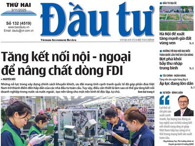 Báo Đầu tư số 132
