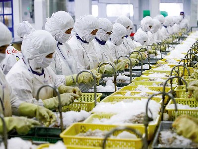 Kim ngạch xuất khẩu gần 10 tháng đã vượt mục tiêu đề ra, song chặng đường còn lại của năm 2025 vẫn nhiều rào cản. 