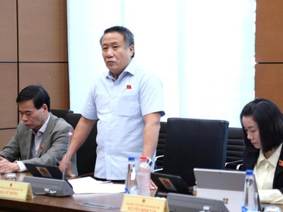 Đại biểu Hà Sỹ Đồng phát biểu tại tổ. 