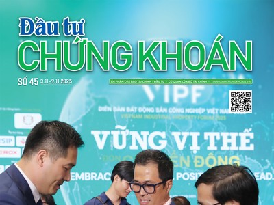 Báo Đầu tư Chứng khoán số 45