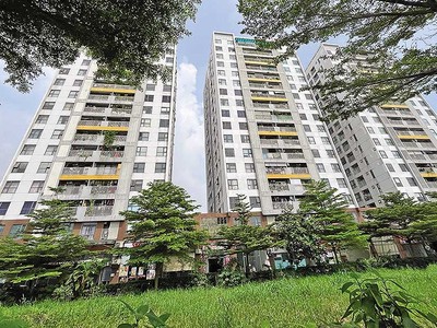 Đến nay cư dân Dự án Chung cư Osimi Tower (phường An Hội Đông, TP.HCM) chưa được cấp “sổ đỏ”.