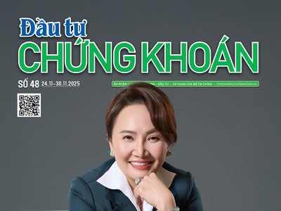Báo Đầu tư Chứng khoán số 48
