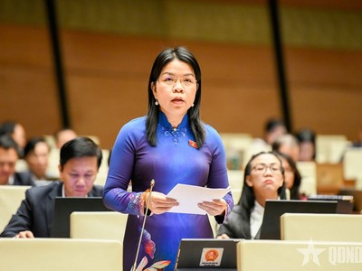 Đại biểu Nguyễn Thị Ngọc Xuân (TP.HCM).