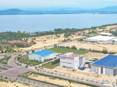 Cụm nhà máy sản xuất dược phẩm công nghệ cao của Bidiphar đang trong quá trình xây dựng và hoàn thiện