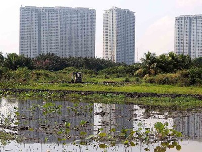 Giá đất nông nghiệp ở khu vực TP.HCM dự kiến tăng cao nhất gần 78%. Ảnh: Lê Toàn.