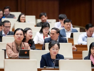 Kỳ họp thứ 10 của Quốc hội đã qua 7 tuần làm việc. 