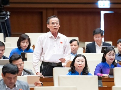 Đại biểu Trần Hữu Hậu (Tây Ninh) phát biểu tại hội trường. 