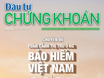 Báo Đầu tư Chứng khoán số 51