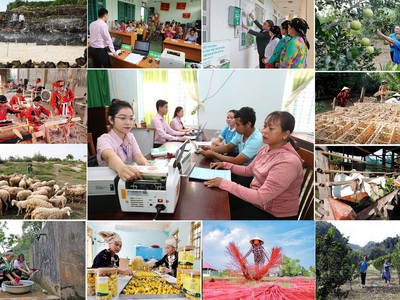 Với trọng trách hỗ trợ các đối tượng yếu thế, song hành với hoạt động an sinh xã hội, Ngân hàng Chính sách xã hội cũng nhanh chóng triển khai các biện pháp hỗ trợ khách hàng khắc phục thiệt hại nguồn vốn vay ưu đãi. 