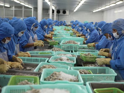 Xuất khẩu 11 tháng năm 2025 tăng 14,6% so với cùng kỳ, đưa nhiều doanh nghiệp thuỷ sản băng băng về đích