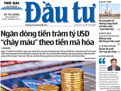 Báo Đầu tư số 153