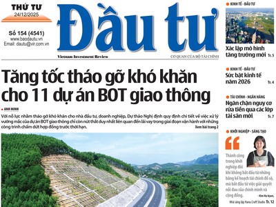 Báo Đầu tư số 154