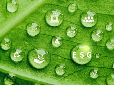 Tăng trưởng bền vững, cần đa dạng hóa dòng vốn