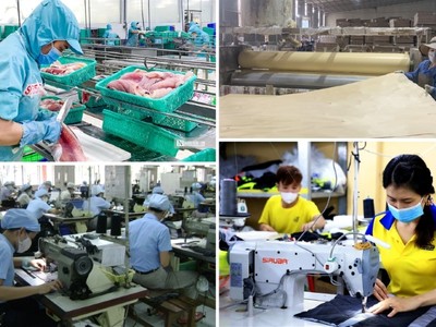 Kinh tế tư nhân là một động lực quan trọng nhất trong nền kinh tế quốc gia. 