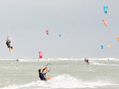 Ảnh minh họa. Ảnh: T.M.N 