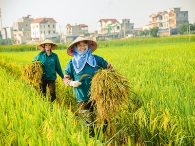 Ngành nông nghiệp hướng tới kỷ lục xuất khẩu 74 tỷ USD năm 2026 