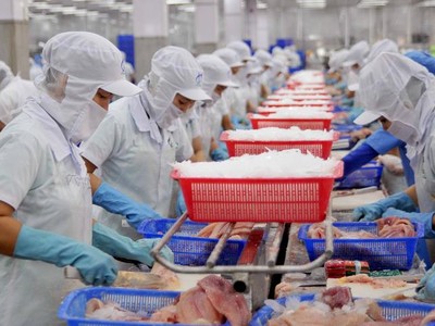 Việt Nam xuất siêu sang EU 38,6 tỷ USD 