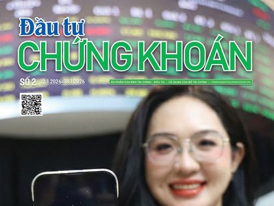 Báo Đầu tư Chứng khoán số 2