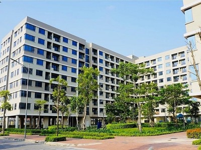 Ủy ban nhân dân cấp tỉnh đưa chỉ tiêu phát triển nhà ở xã hội theo từng năm được giao tại Nghị quyết này vào kế hoạch phát triển kinh tế xã hội hàng năm để triển khai thực hiện.