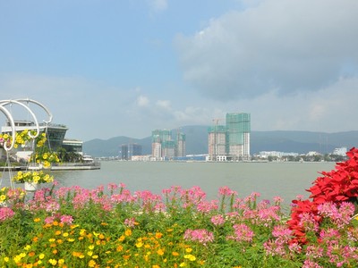 Thị trường đất nền tại thành phố Đà Nẵng ghi nhận nhiều chuyển biến tích cực.