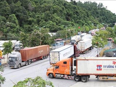 Hoạt động xuất nhập khẩu hàng hóa qua các cửa khẩu tỉnh Lạng Sơn ngày 31/1 và 1/2 diễn ra ổn định, thông suốt. 