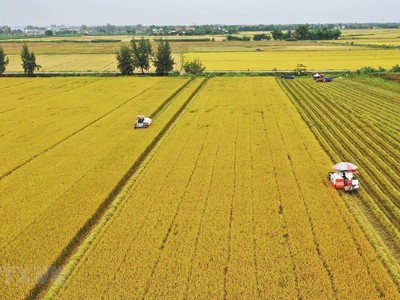 Việc chuyển mục đích sử dụng đất được tháo gỡ.