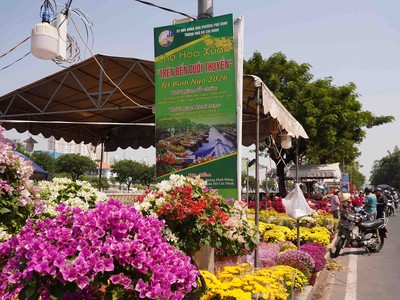 Chợ hoa Xuân Trên bến dưới thuyền rộn ràng trước ngày khai mạc 