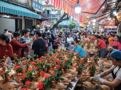 Mua sắm ngày Tết Bính Ngọ 2026 tại Hà Nội.