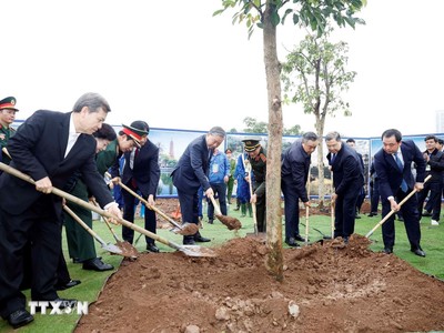 Tổng Bí thư Tô Lâm và các đại biểu tham gia trồng cây tại Lễ phát động “Tết trồng cây đời đời nhớ ơn Bác Hồ” Xuân Bính Ngọ 2026. (Ảnh: Thống Nhất/TTXVN)