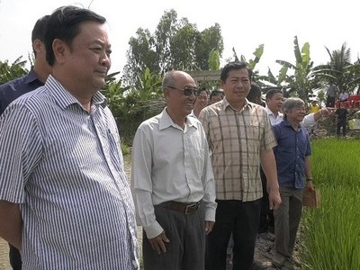 Phó chủ tịch Quốc hội Lê Minh Hoan (bìa trái) thăm mô hình sản xuất hiệu quả tại xã Tam Nông, tỉnh Đồng Tháp 