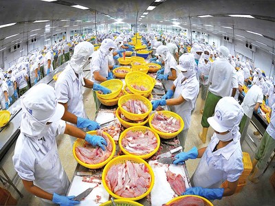 Thủy sản là một trong những ngành có kim ngạch xuất khẩu lớn sang Mỹ, các doanh nghiệp đã quen với áp lực thuế từ thị trường này 