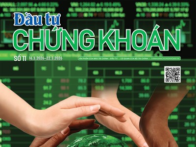  Báo Đầu tư Chứng khoán số 11