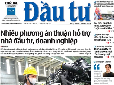 Báo Đầu tư số 20