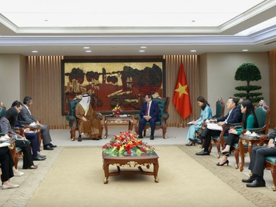 Thủ tướng Phạm Minh Chính đề nghị Đại sứ phối hợp chặt chẽ với phía Việt Nam khẩn trương thúc đẩy các nội dung quan trọng mà Tổng thống UAE đã thống nhất - Ảnh: VGP