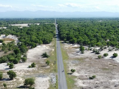 Quốc lộ 15D đoạn từ Cảng Mỹ Thuỷ đến điểm giao Quốc lộ 1A.