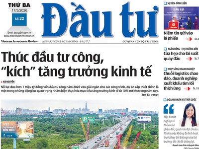 Báo Đầu tư số 22
