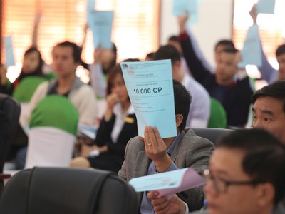 Quyền biểu quyết phải gắn với hành vi biểu quyết thực tế