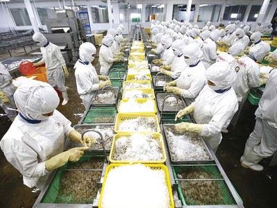 Xuất khẩu đang chịu sức ép lớn trước biến động địa chính trị thế giới. Trong ảnh: Thủy sản là mặt hàng xuất khẩu quan trọng của Việt Nam (Ảnh: Đức Thanh)