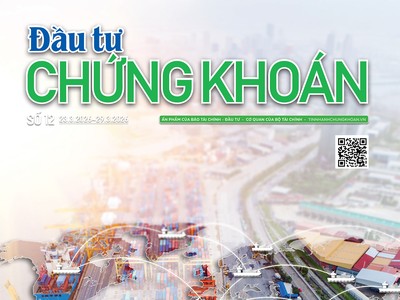 Báo Đầu tư Chứng khoán số 12