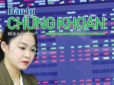  Báo Đầu tư Chứng khoán số 13