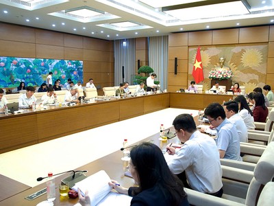 Toàn cảnh phiên thẩm tra. Ảnh: H.L