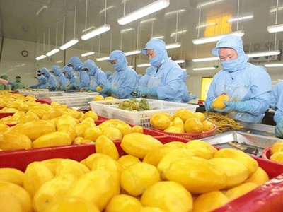 Họp báo thường kỳ Bộ Nông nghiệp và Môi trường ngày 1/4 tại Hà Nội.